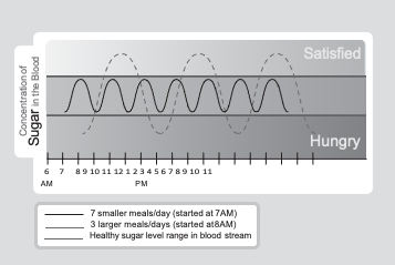 satisfied vs. Hungry Insulin relationship